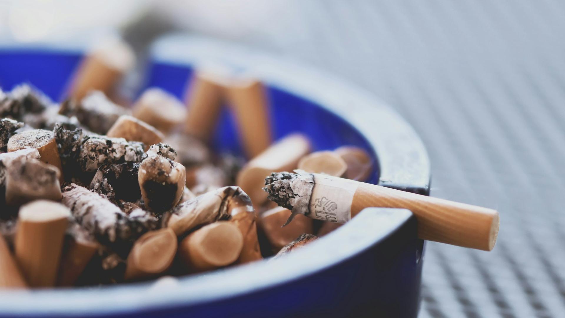 blue ceramic bowl with chocolate and peanut butter
